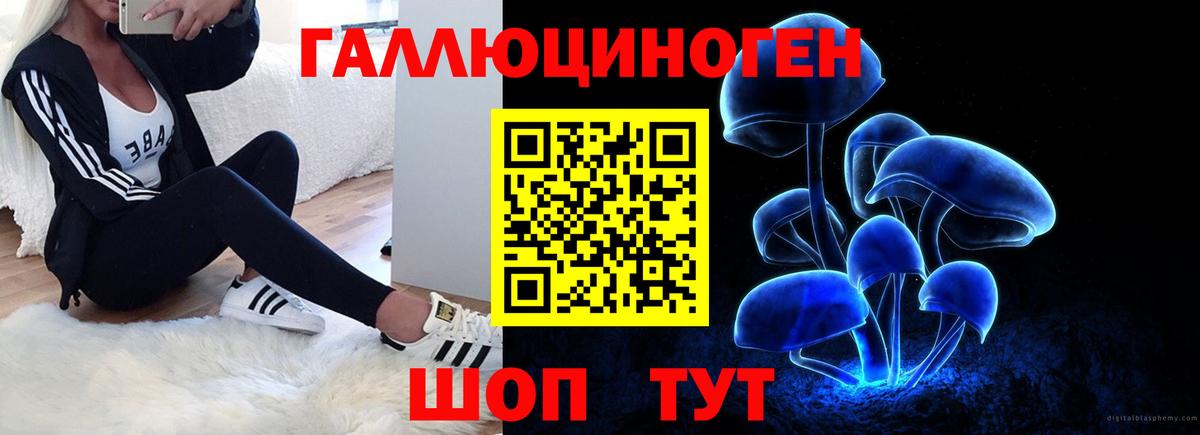 Псилоцибиновые грибы Psilocybine cubensis  Псилоцибиновые грибы Magic Shrooms  Вход с VPN  Елец 